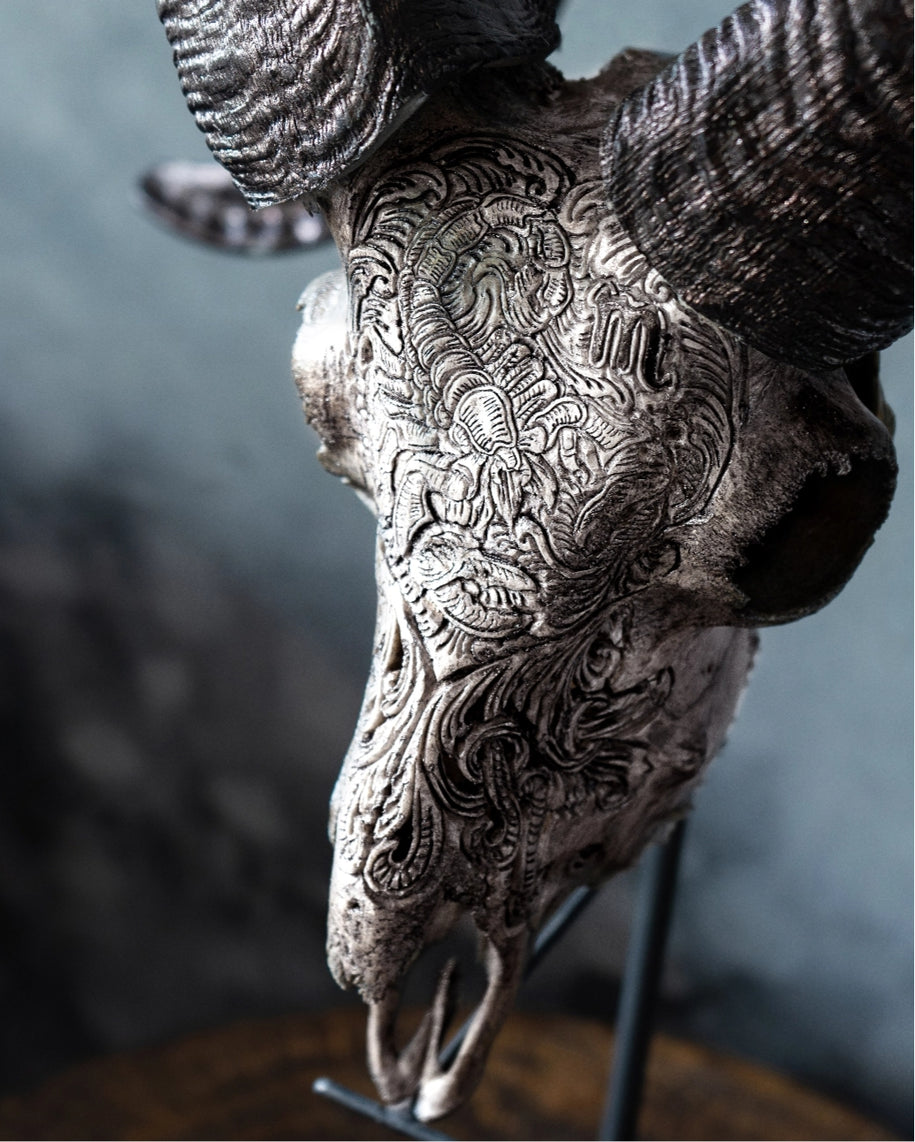 Zodiac Collection