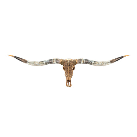 Hand Carved Longhorn Skull // XL Horns - Golden Sun