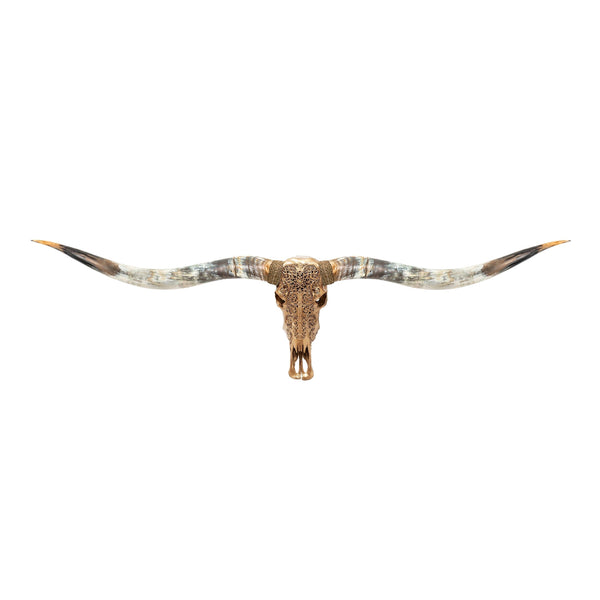 Hand Carved Longhorn Skull // XL Horns - Golden Sun – Skull Bliss