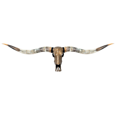 Longhorn Skull // XL Horns - Mocha Mirror // Mosaic Finish