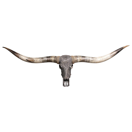 Hand Carved Longhorn Skull  // XL Horns - Gray Feathers