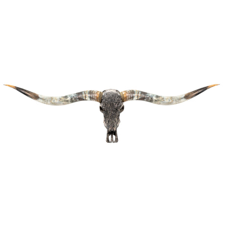 Hand Carved Longhorn Skull // XL Horns - Gray Fine Line