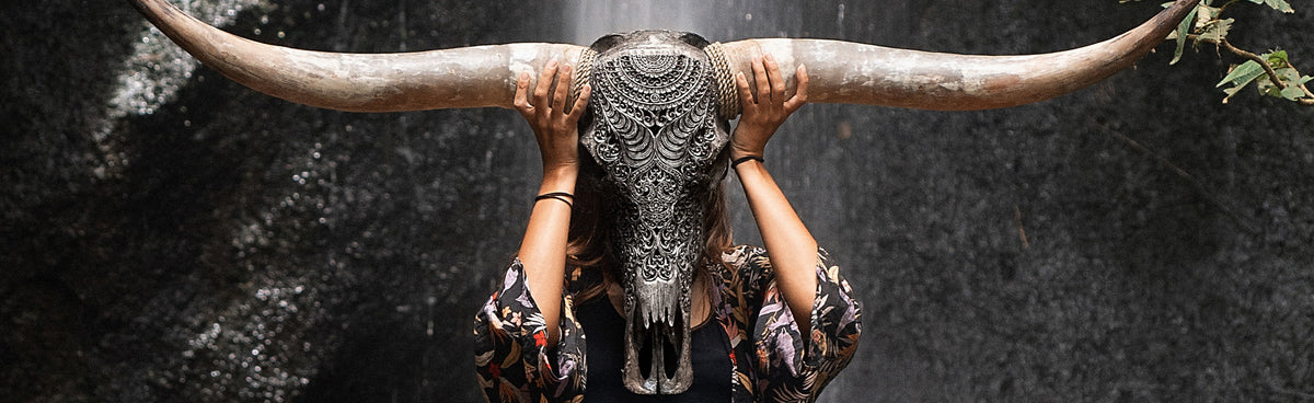 Testimonials / Customer Reviews