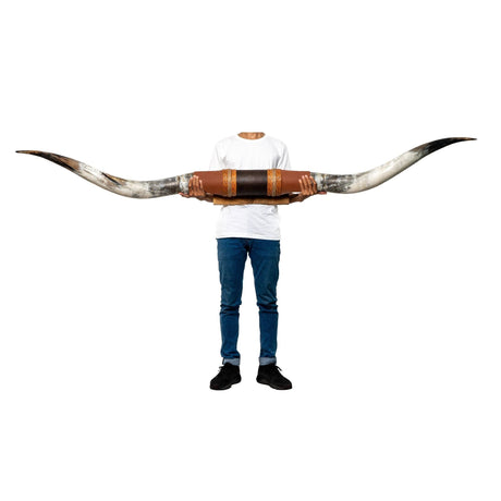Brown Leather Mount // XL Longhorns - One Eye