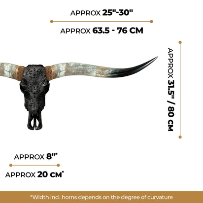 Hand Carved Longhorn Skull - Black Moth – Skull Bliss