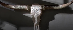 Longhorn Skulls