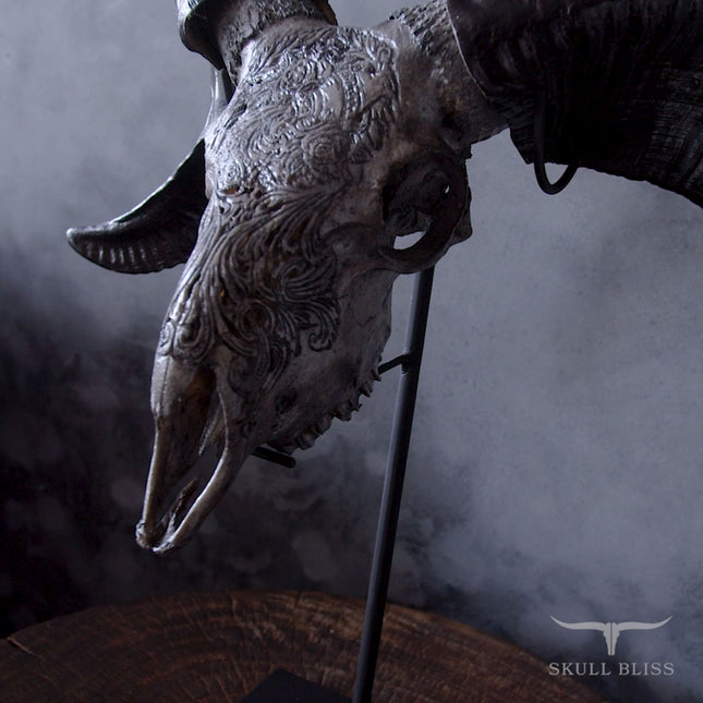笑口瑪瑙スカル Hand Carved Ram Skull - Gray Aquarius – Skull Bliss