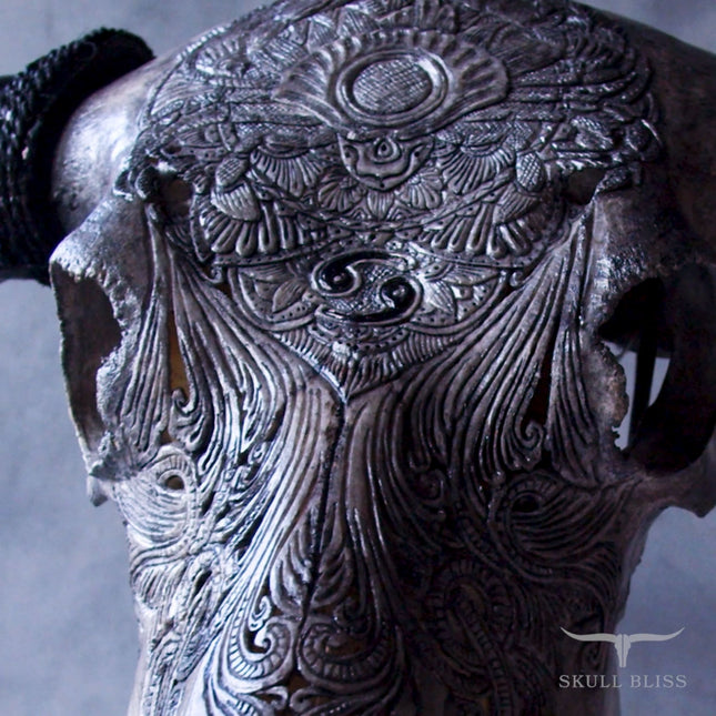 Hand Carved Buffalo Skull - Gray Cancer – Skull Bliss