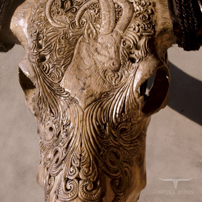 Hand Carved Buffalo Skull - Gray Capricorn – Skull Bliss