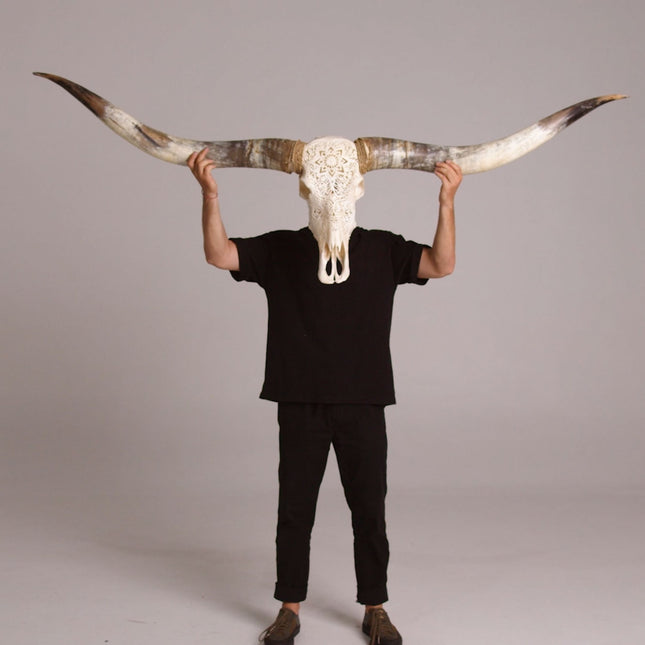 Hand Carved Longhorn Skull // XL Horns - Gray Norse Rune – Skull Bliss