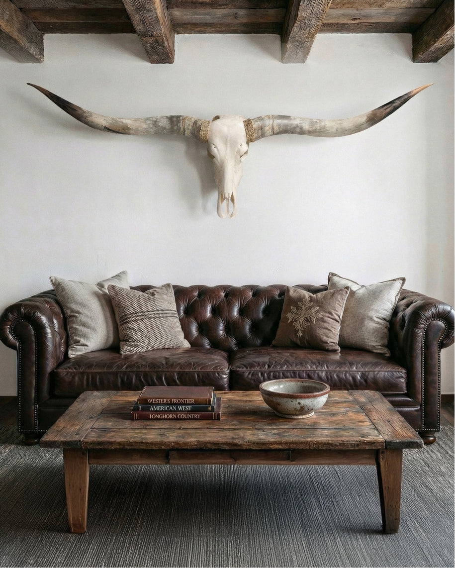 XL Longhorn Skulls