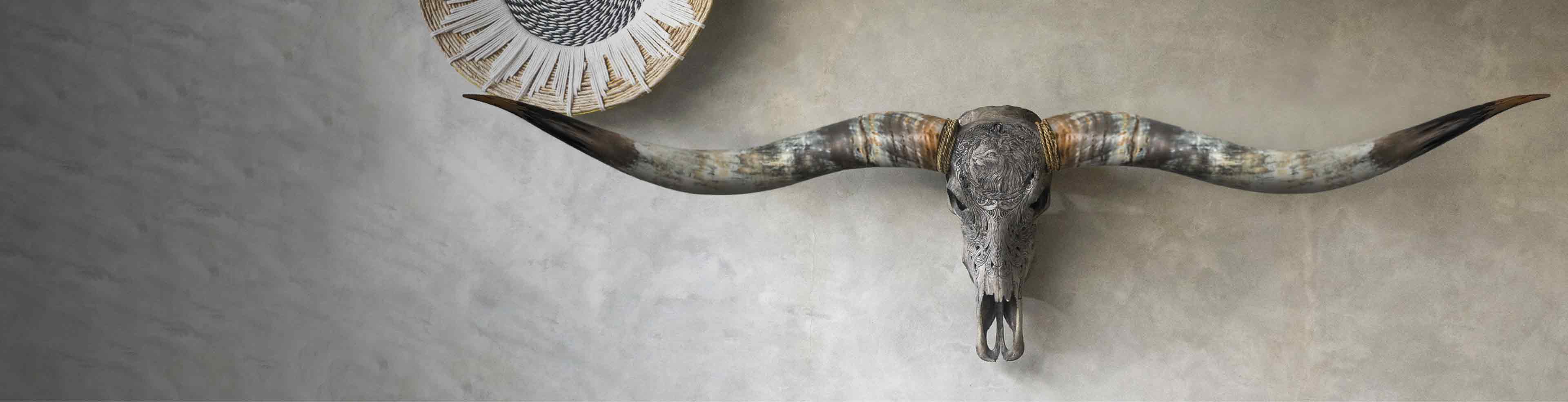 XL Longhorn Skulls – Skull Bliss