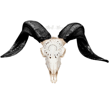 Hand Carved Ram Skull - Indian Chief