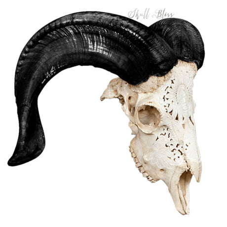 Hand Carved Ram Skull - Indian Chief