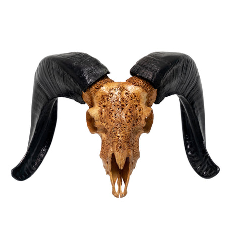 Hand Carved Ram Skull - Antique Phantom