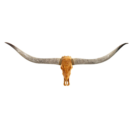 Hand Carved Longhorn Skull // XL Horns - Antique Boho