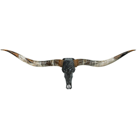 Hand Carved Longhorn Skull // XL Horns - Black Boho