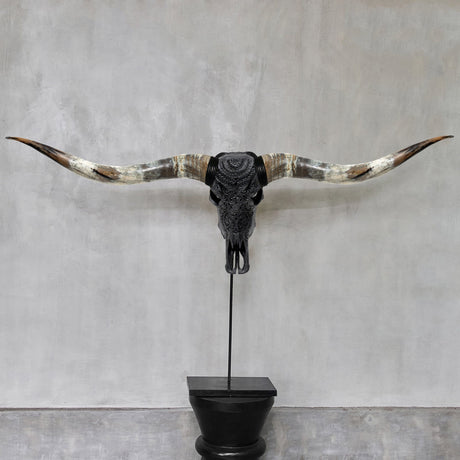 Hand Carved Longhorn Skull // XL Horns - Matte Black Boho
