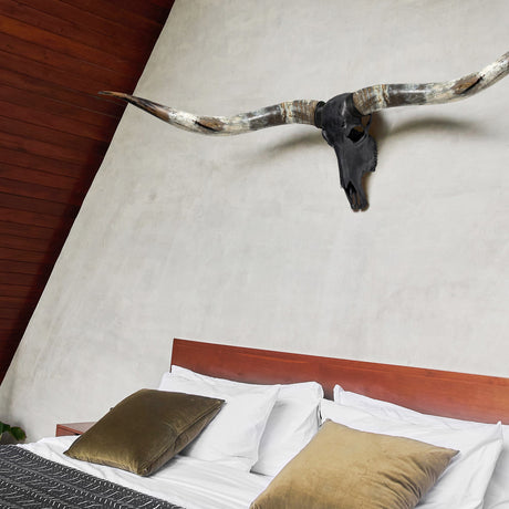 Longhorn Skull // XL Horns - Matte Black Storm