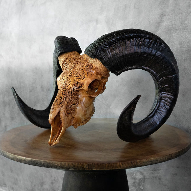 AUTHENTIC Adult deals Ram Skull