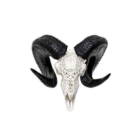 Hand Carved Ram Skull - White Brahma