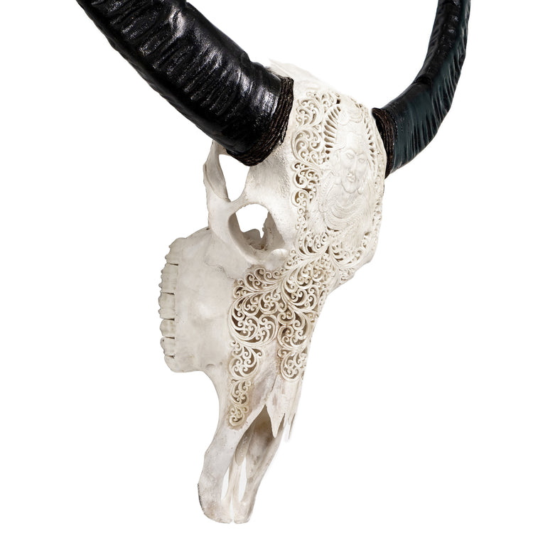 Hand Carved Buffalo Skull - White Shiva – Skull Bliss
