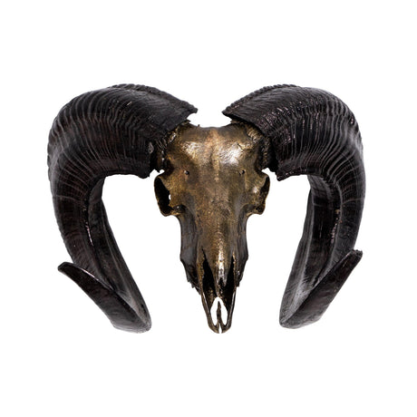 Ram Skull - Antique Bronze Storm // Metallic Finish