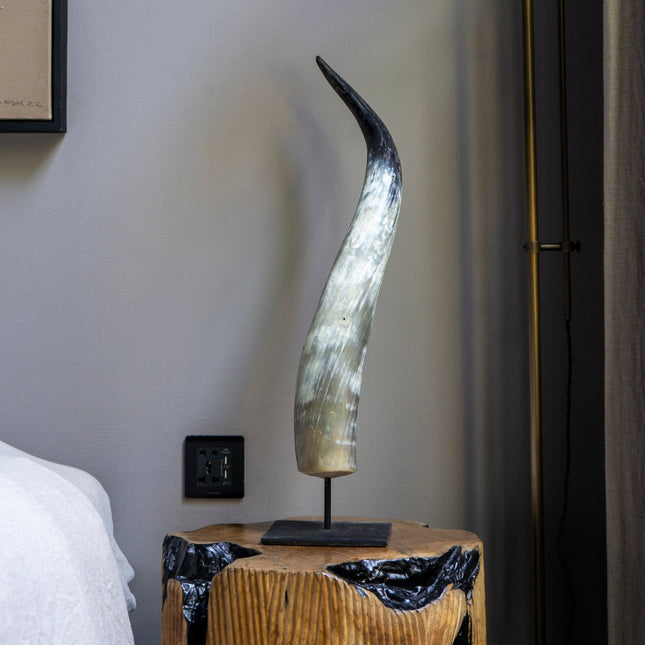 Longhorn Horn - Lestari – Skull Bliss