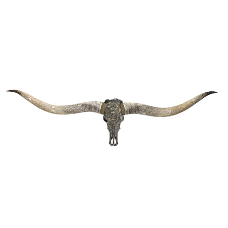 Hand Carved Longhorn Skull // XL Horns - Gray From Hell