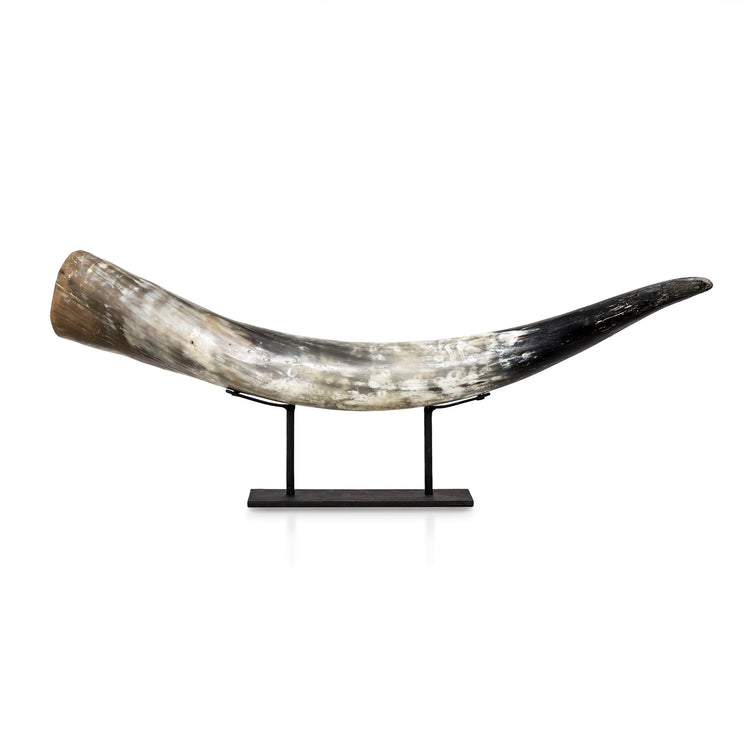 Longhorn Horn - Agung – Skull Bliss