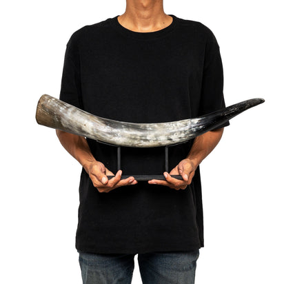 Longhorn Horn - Agung – Skull Bliss