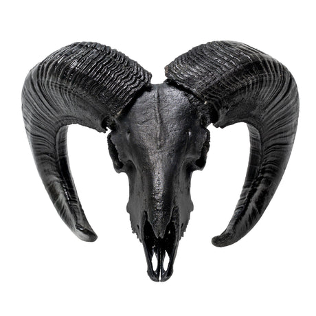 Ram Skull - Matte Black Storm
