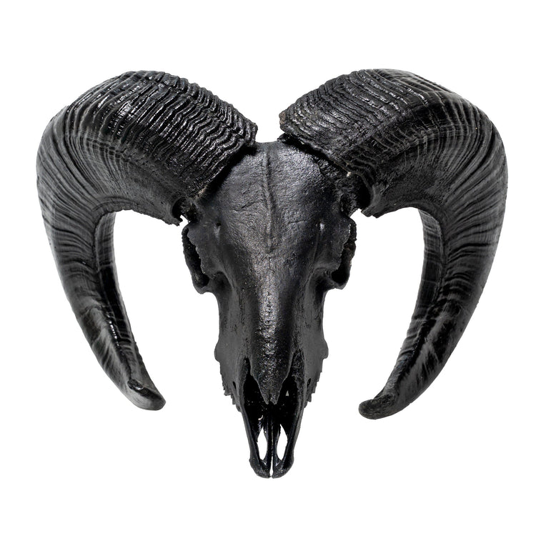 Ram Skull - Matte Black Storm – Skull Bliss