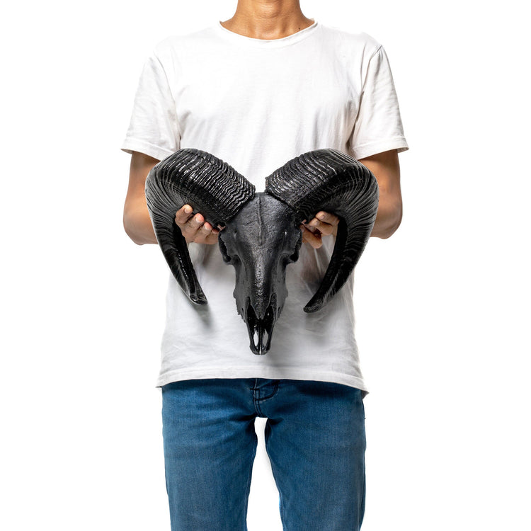 Ram Skull - Matte Black Storm – Skull Bliss