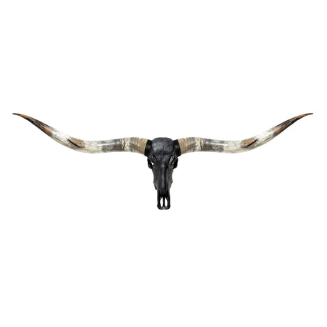 Longhorn Skull // XL Horns - Matte Black Storm