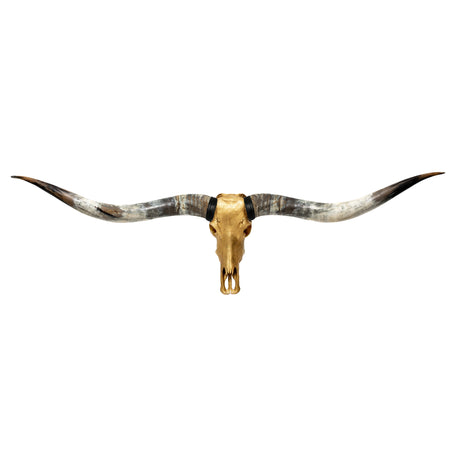 Longhorn Skull // XL Horns - Gold Leaf Storm