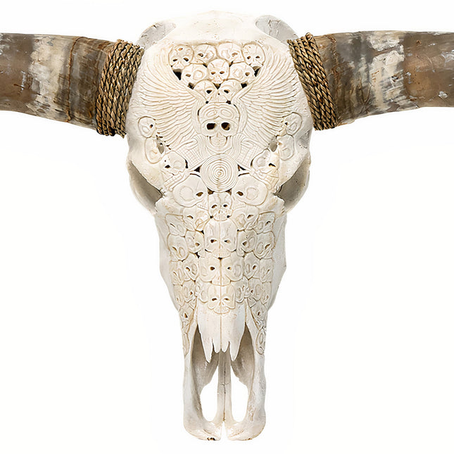 Hand Carved Longhorn Skull - White From Hell