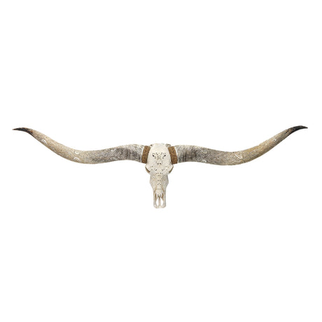 Hand Carved Longhorn Skull  // XL Horns - White From Hell