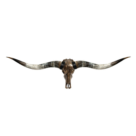 Longhorn Skull // XL Horns - Antique Bronze Storm // Metallic Finish