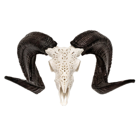 Hand Carved Ram Skull - White Phoenix