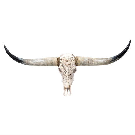 Hand Carved Longhorn Skull - White Sun