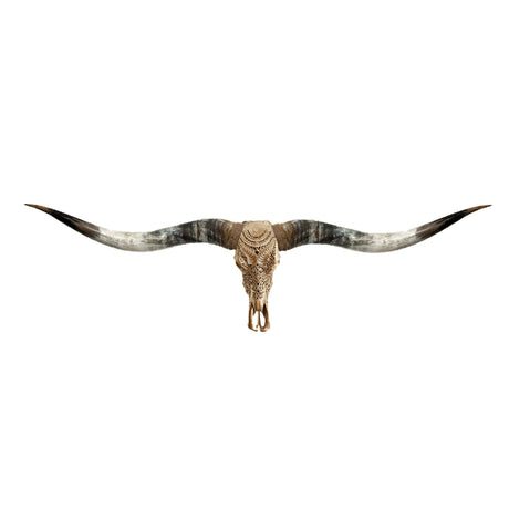 Hand Carved Longhorn Skull // XL Horns -  Golden Boho