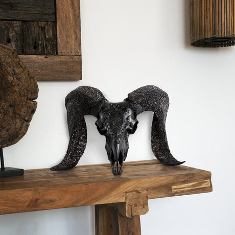 Hand Carved Ram Skull - Black Phantom