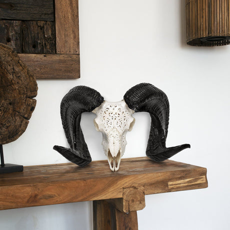 Hand Carved Ram Skull - White Phantom