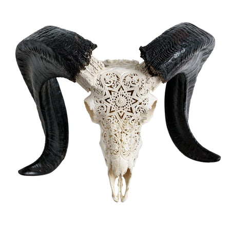 Hand Carved Ram Skull - White Mandala