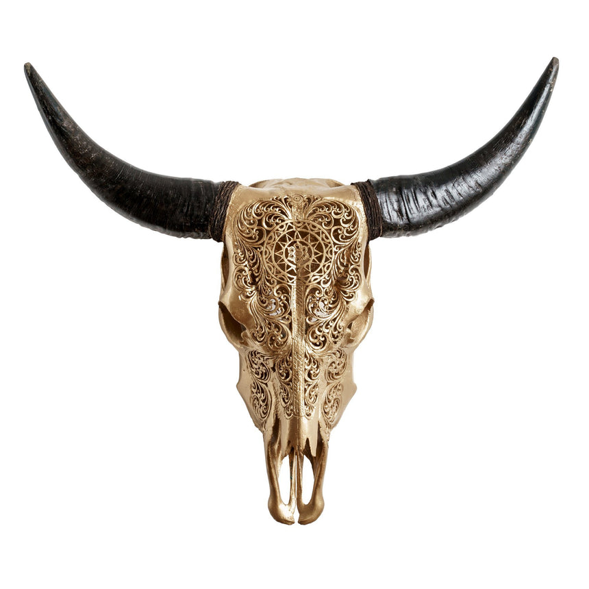 Cow Skulls for Sale | Bull & Cow Skull Decor | Skull Bliss