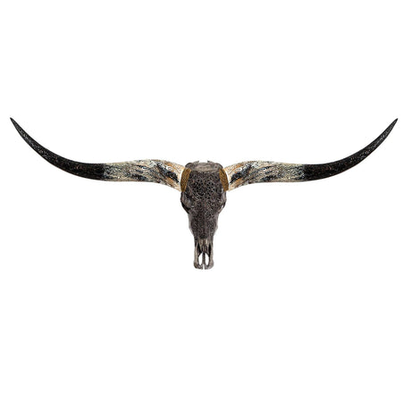 Hand Carved Longhorn Skull - Gray Sun