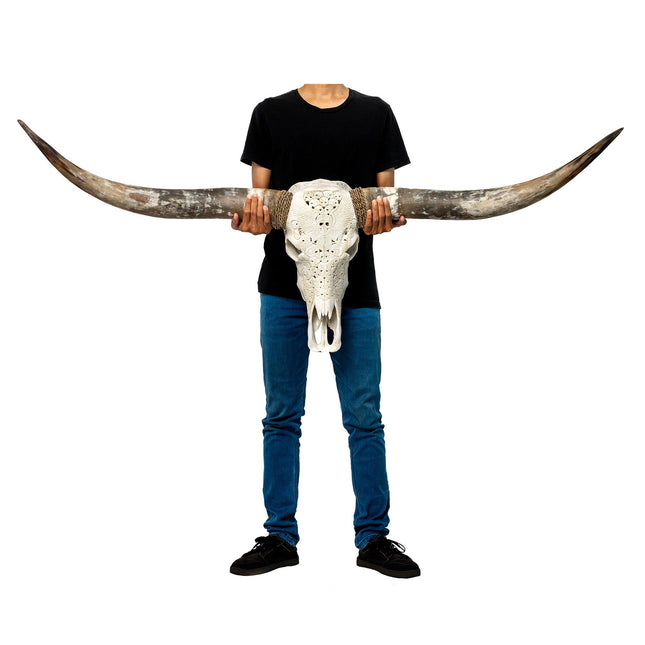 Hand Carved Longhorn Skull - White From Hell