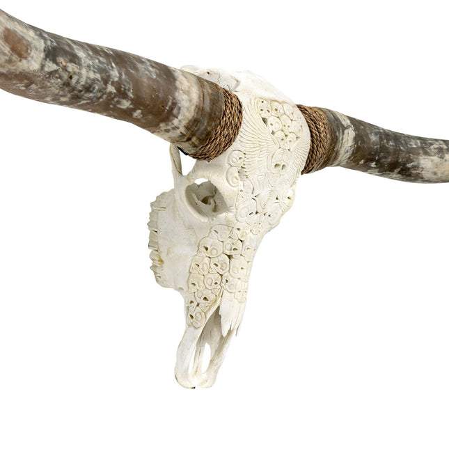 Hand Carved Longhorn Skull - White From Hell