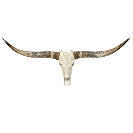 Hand Carved Longhorn Skull - White From Hell